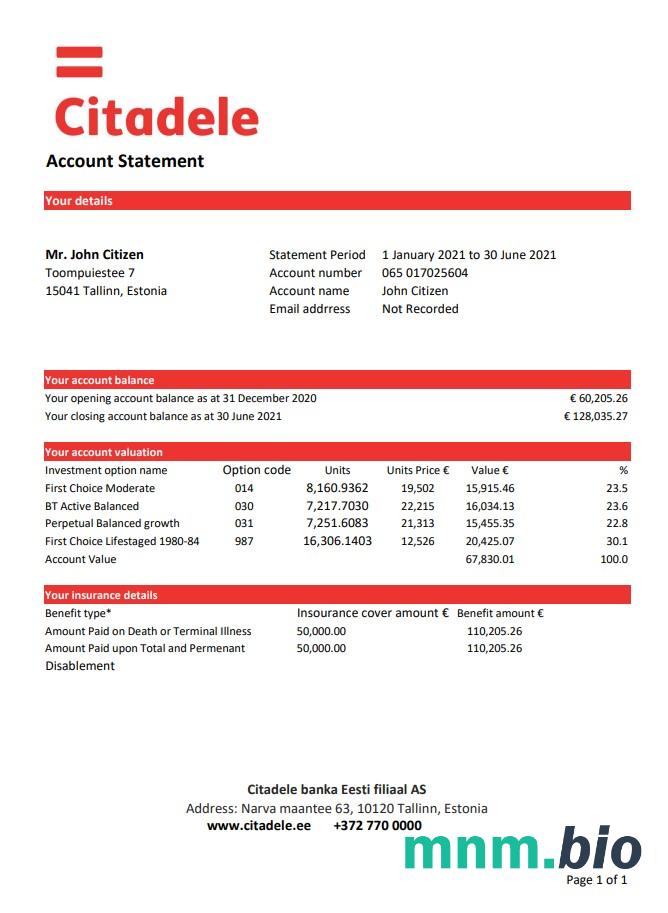 Szablon wyciągu bankowego Estonia Citadele w programie Word i PDF